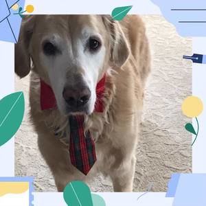 Meet your Posher, Jan